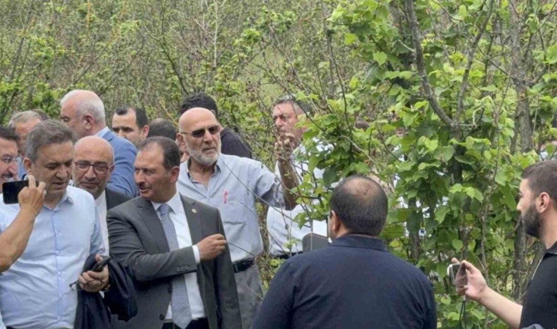 TBMM Zirai Don Olayını Araştırma Komisyonu Düzce’de Türkiye Büyük Millet Meclisi (TBMM) Zirai Don Olayını Araştırma Komisyonu
