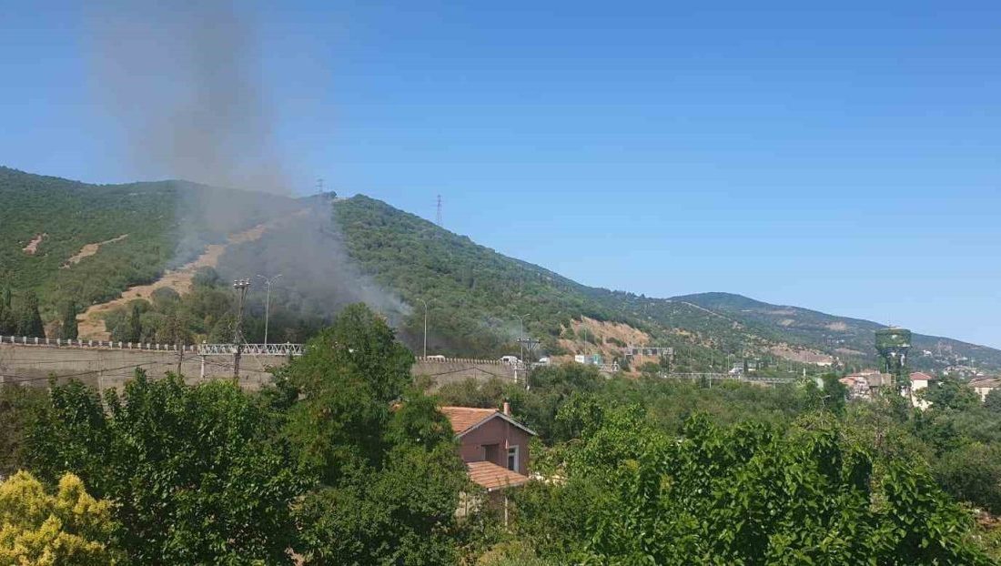 TEM Otoyolu kenarında başlayan yangın ormana sıçradı: 2 saatte söndürüldü Kocaeli TEM Otoyolu kenarında çıkan yangın, ormanlık alana sıçradı. Havadan