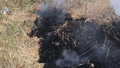 Bilecik’te bir bahçede temizlik amacı ile yakılan otlardan yayılan alevler,