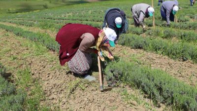 Kocaeli Büyükşehir Belediyesi’nin 5 yıl önce hayata geçirdiği “Tıbbi ve