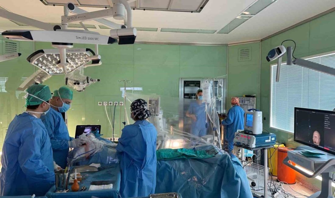 Her yıl 8 Haziran’da, insanları beyin tümörlerinin önlenmesi konusunda bilinçlendirmek,