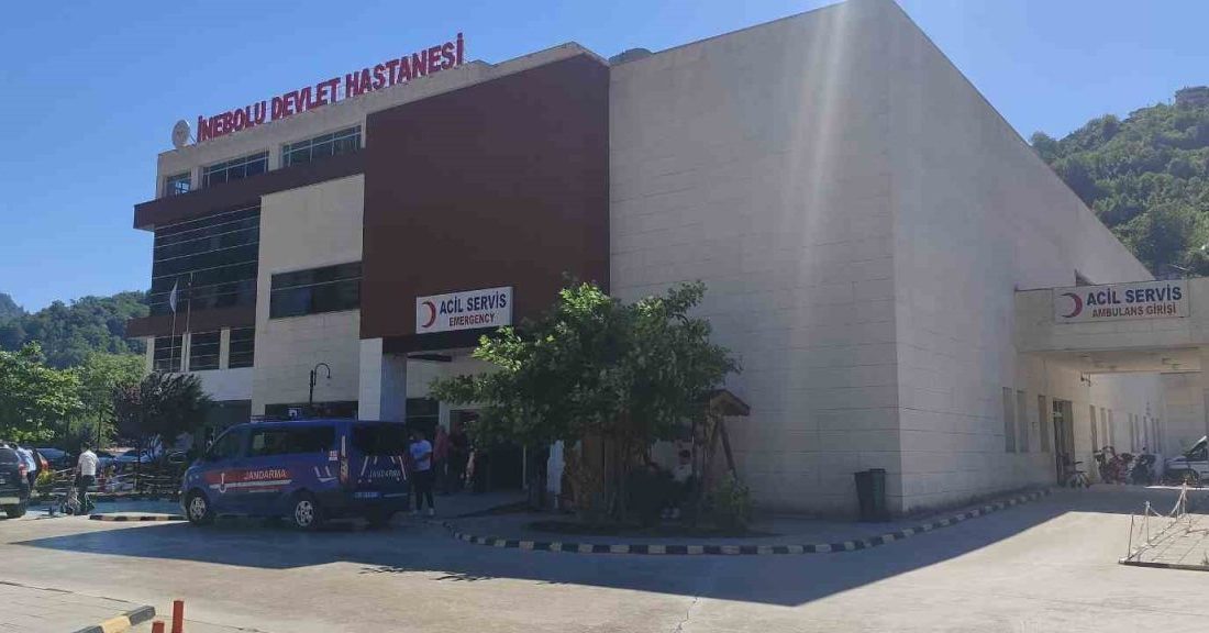 Üzüm yaprağı toplarken düşen kadın hayatını kaybetti Kastamonu’nun İnebolu ilçesinde üzüm yaprağı topladığı sırada düşen kadın, kaldırıldığı