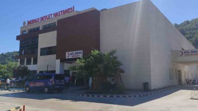 Kastamonu’nun İnebolu ilçesinde üzüm yaprağı topladığı sırada düşen kadın, kaldırıldığı