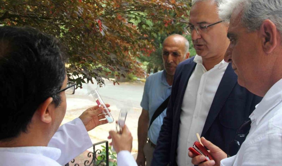 Yalova’da kahverengi kokarcaya karşı samuray arılar doğaya salındı Yalova’da meyve-sebze üretiminde zarara neden olan kahverengi kokarca zararlısıyla mücadele