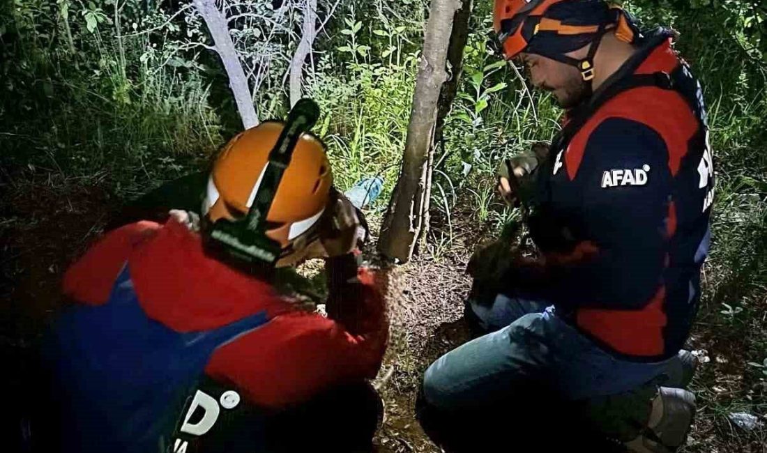 Yalova’da kayıp vatandaş ormanda ölü bulundu Yalova’da kendisinde bir süredir haber alınamayan M.E. (37) ormanlık alanda