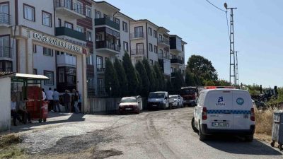 Sakarya Orman Bölge Müdürlüğü’nün Söğütlü ilçesindeki deposunda çıkan ve ormanlık