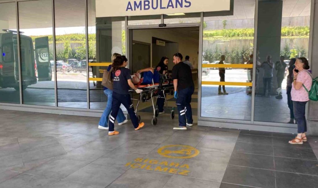 Yaşlı çifti kaza ayırdı Kocaeli’nin Kandıra ilçesinde otomobilin ağaca çarpması sonucu meydana gelen kazada