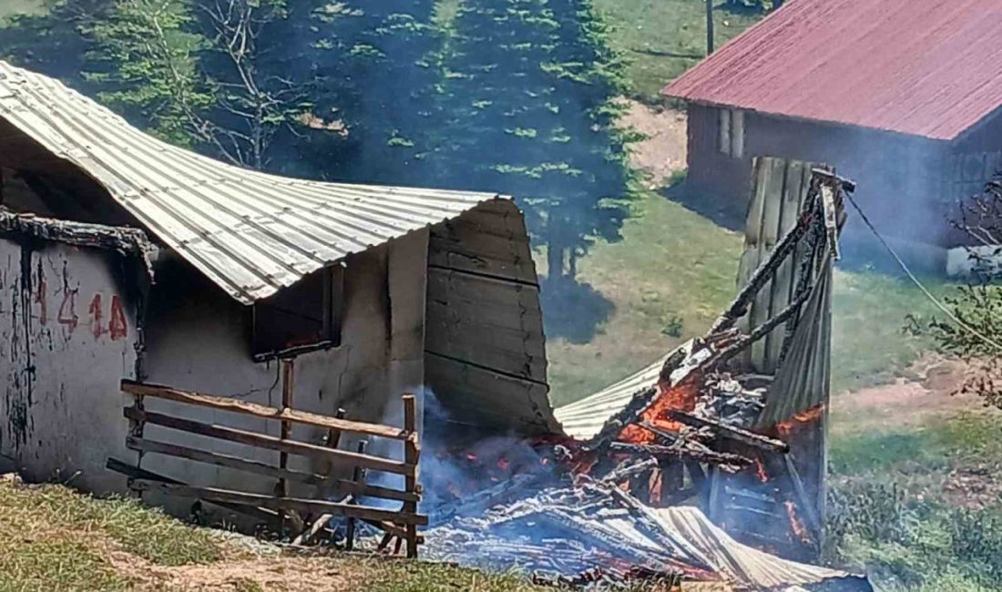 Yayla evi alev alev yandı Sakarya’da yayla evinde çıkan yangın itfaiye ekiplerinin müdahalesiyle söndürüldü. Olay,