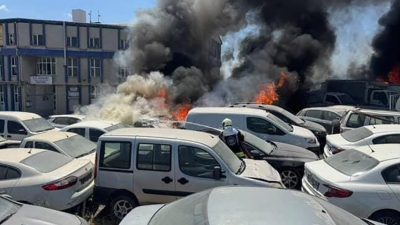 Kocaeli’nin Gebze ilçesindeki sanayi sitesinde çıkan ot yangını, rüzgarın etkisiyle