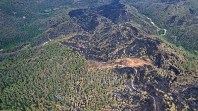 Sakarya’nın Taraklı ilçesinde çıkan yangını söndürme ve soğutma çalışmaları devam
