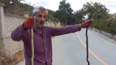 Düzce’nin Akçakoca ilçesinde bir kişinin yılanları elleriyle yakaladığı anlar saniye