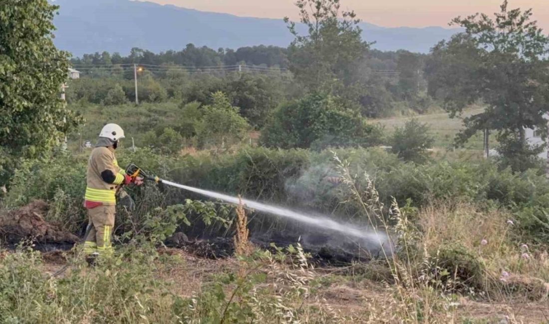 Yol kenarına atılan izmarit, otları yaktı Düzce’de yol kenarına atılan izmarit sebebiyle otlar tutuştu. İtfaiye ekiplerinin