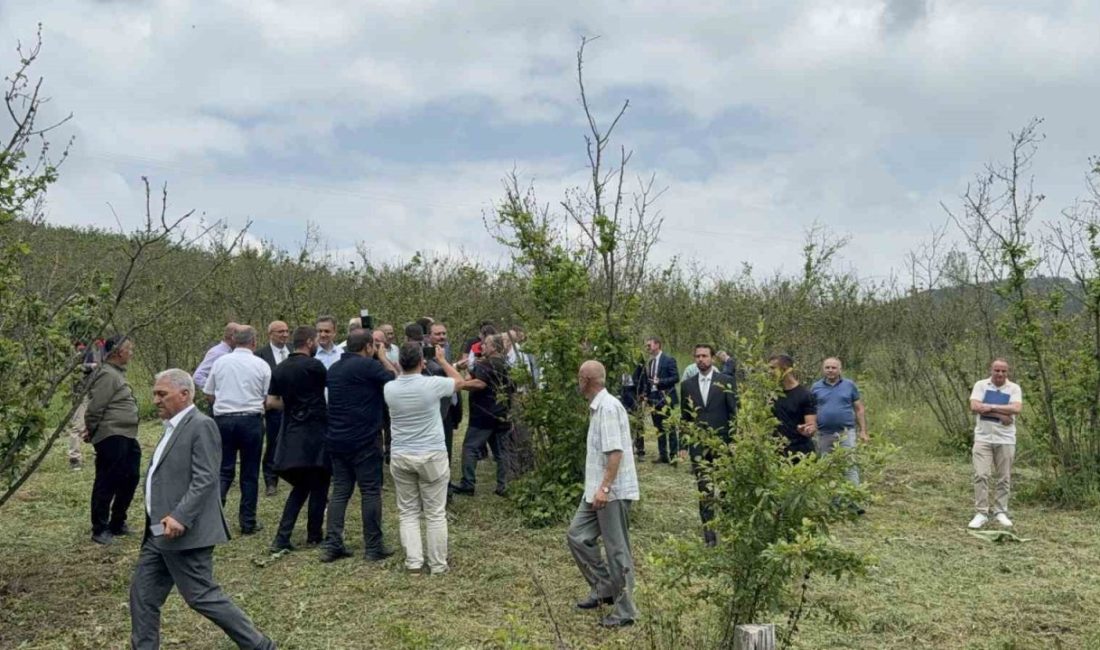 TBMM Zirai Don Araştırma Komisyonu Başkanı Burdur Milletvekili Adem Büyük