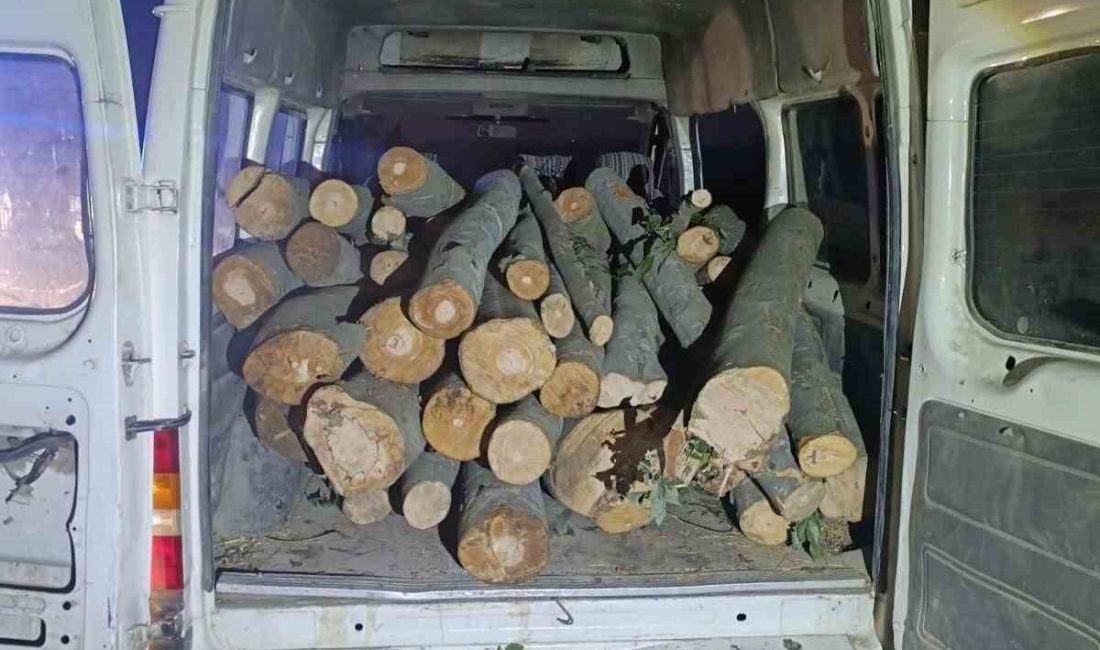 DÜZCE(İHA) – Düzce’de jandarma ekipleri tarafından yapılan uygulamada 1 ton