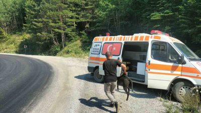 Kastamonu’nun Devrekani ilçesinde 8 metre derinliğindeki rögara düşen iki köpek,