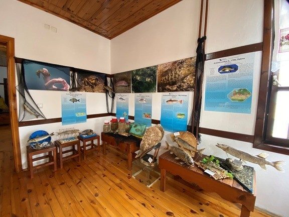 Akçakoca sualtı dünyası Düzce Üniversitesi Fen Edebiyat Fakültesi ile Akçakoca Çevre Kültür ve