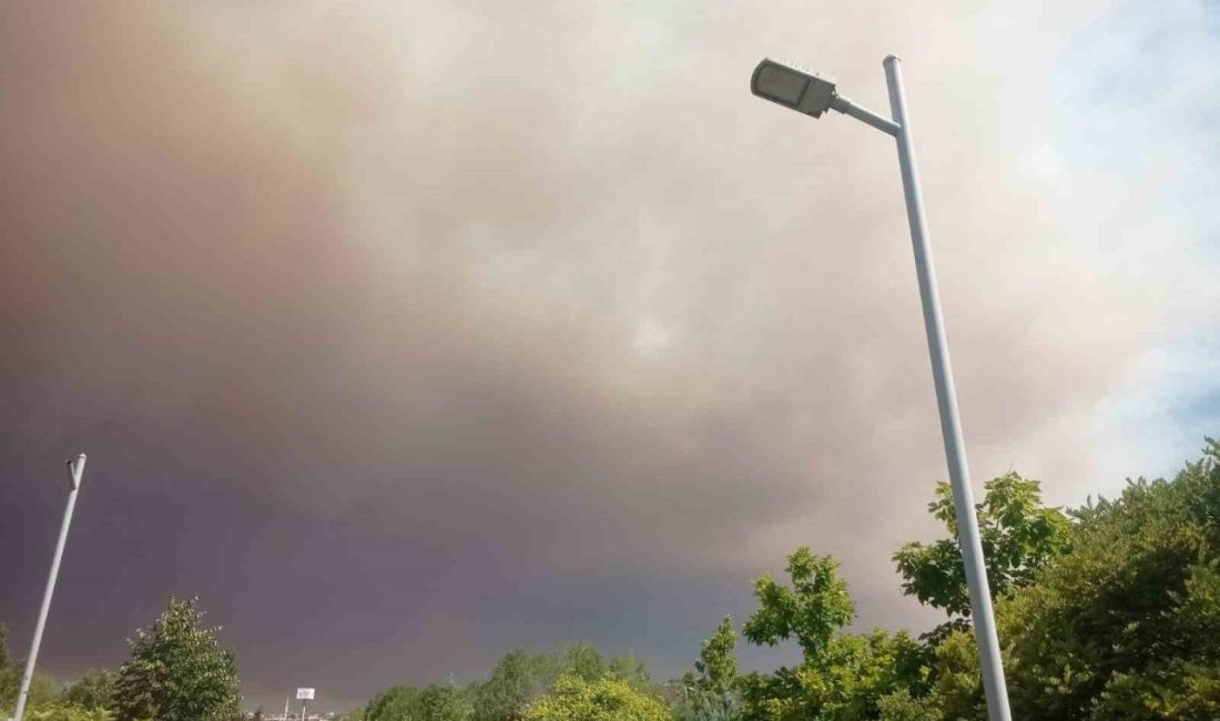 Sakarya’da çıkan orman yangını Bilecik’e yaklaşırken Osmaneli Belediyesi ilçede anonslar