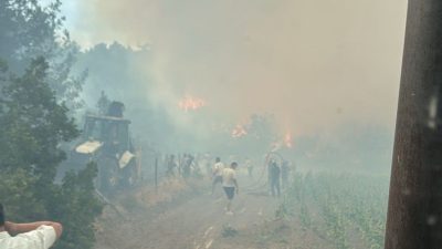 Bilecik’te öğleden sonra başlayan orman yangını rüzgarın etkisiyle hızla yayılırken,