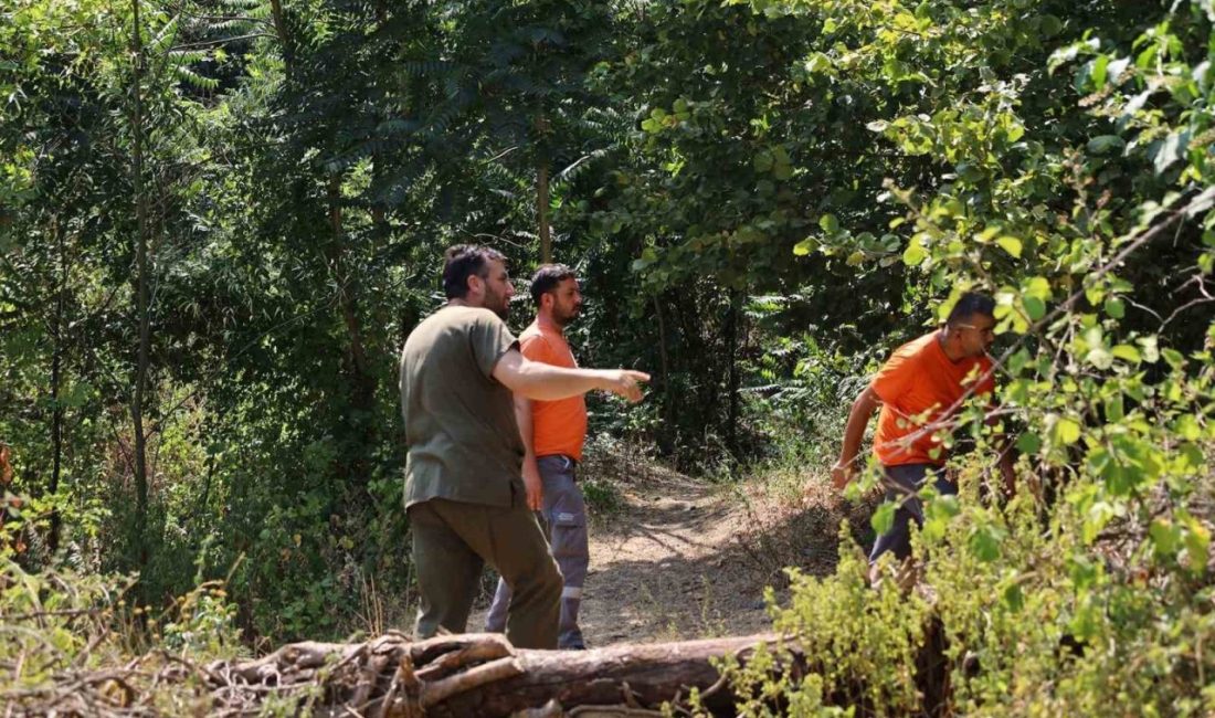 Yürekleri yakıp kavuran Sakarya’daki orman yangınlarında, ateşlerin içinde kalan hayvanların