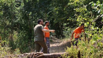 Yürekleri yakıp kavuran Sakarya’daki orman yangınlarında, ateşlerin içinde kalan hayvanların