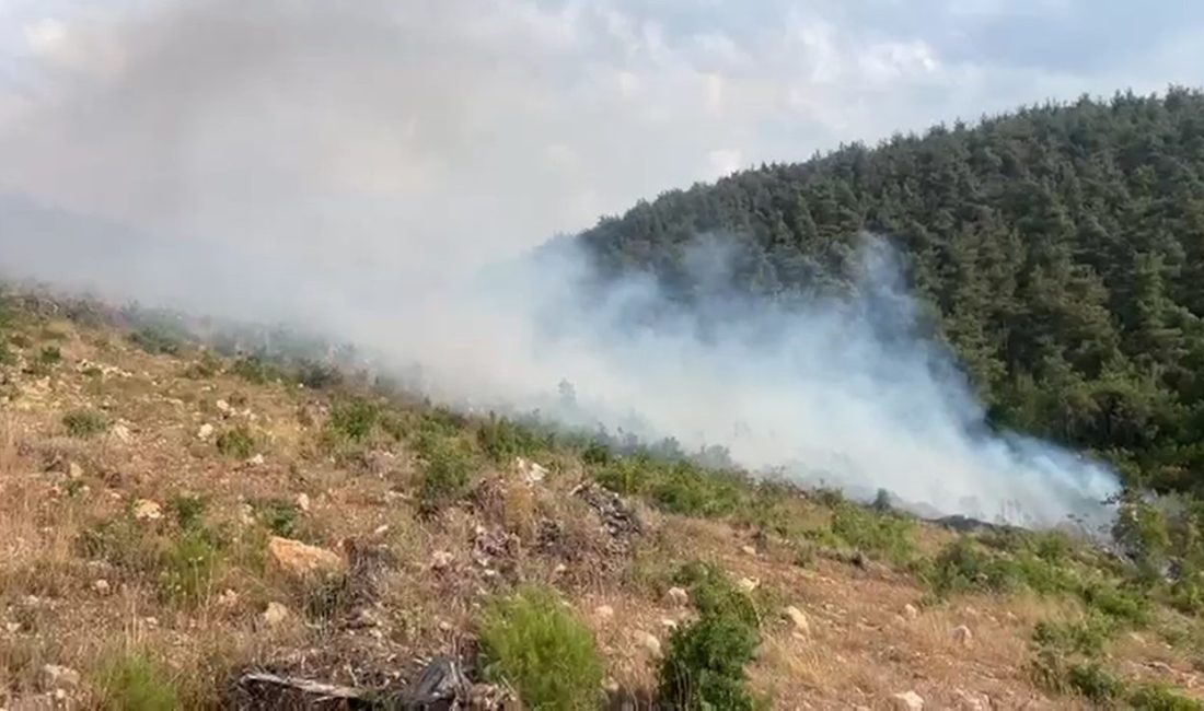 Aynı bölgede 15 günde 2’nci orman yangını Bilecik’te 15 gün içerisinde aynı bölgede 2’nci defa çıkan orman