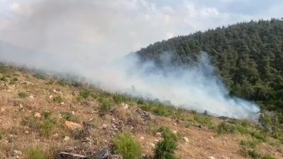 Bilecik’te 15 gün içerisinde aynı bölgede 2’nci defa çıkan orman