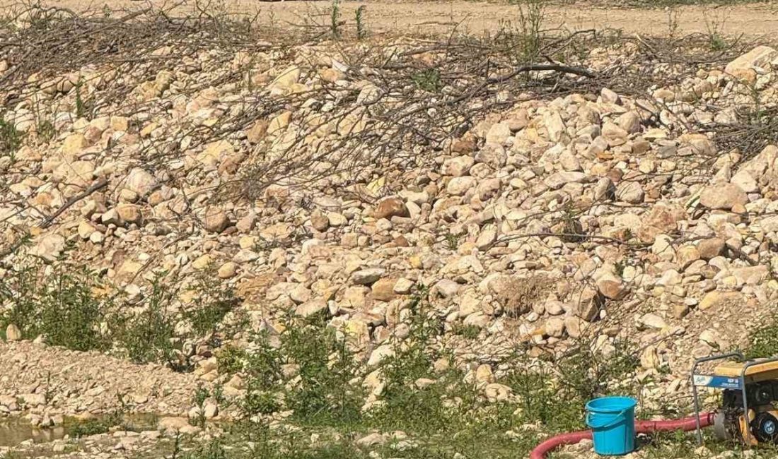 Bahçe sularken kalp krizi geçiren kişi hayatını kaybetti Düzce’de bir kişi, Melen Çayı’nda bahçesini sularken kalp krizi geçirerek