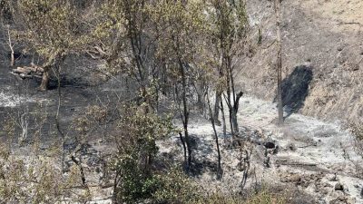 Tarım ve Orman Bakan Yardımcısı Abdulkadir Polat, Sakarya’nın Geyve ilçesinde