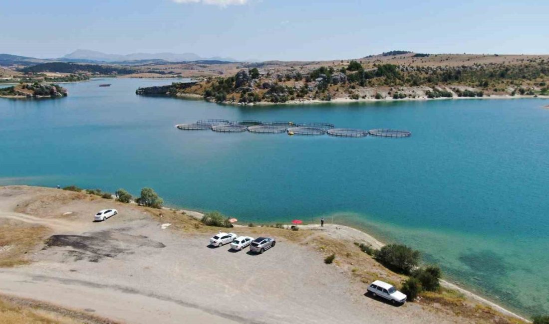 Kastamonu’nun Devrekani ilçesindeki Kulaksızlar Barajı’nda somon çiftliğinin kafesinin yırtılması neticesinde