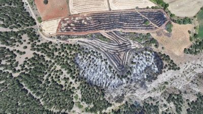 Kastamonu’nun Taşköprü ilçesinde çıkan tarla ve orman yangınıyla ilgili açıklamada