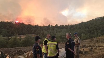 Sakarya’nın Geyve ilçesinde başlayarak Bilecik’in Osmaneli ilçesine sıçrayan orman yangınıyla