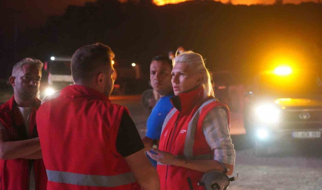 Başkan Subaşı yangın bölgesinde incelemelerde bulundu Bilecik Belediye Başkanı Melek Mızrak Subaşı, Sakarya sınırından başlayarak Osmaneli