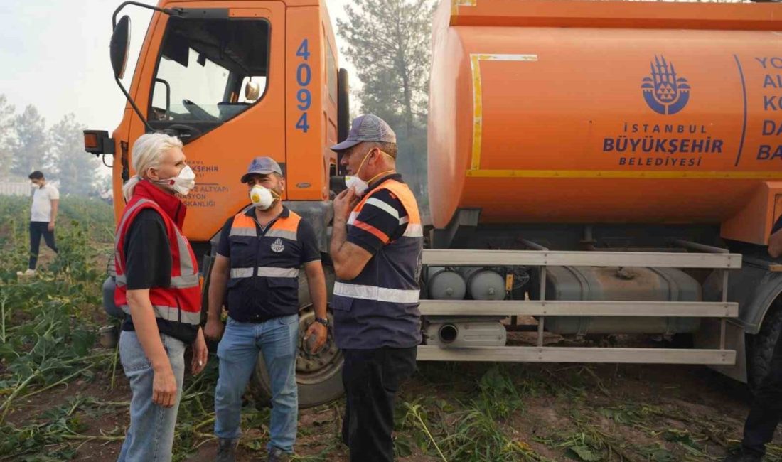 Gölpazarı ve Osmaneli’ne bağlı köylerde çıkan orman yangınları Bilecik’teki bütün