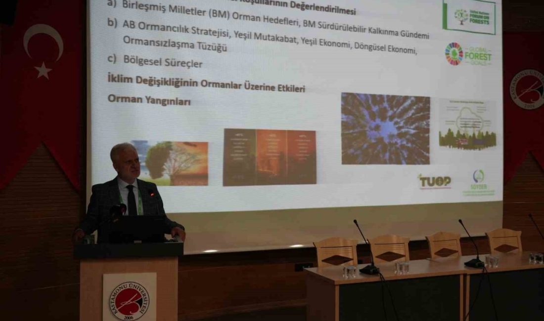 Batı Karadeniz Bölgesi’nde yer alan illerin 20 yıllık ormancılık stratejilerinin