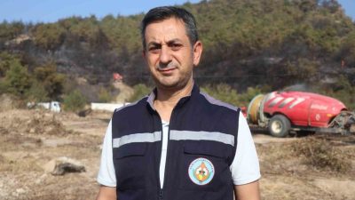 Sakarya’nın Geyve ilçesinde çıkan ve rüzgarın etkisiyle Bilecik sınırlarına da