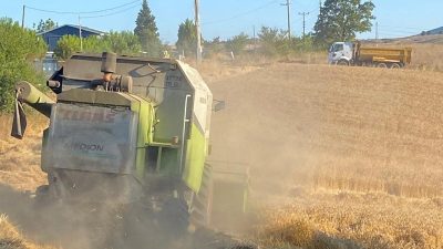 Körfez’de kırsal alanda atıl durumdaki 20 dönümlük tarım arazisine yapılan