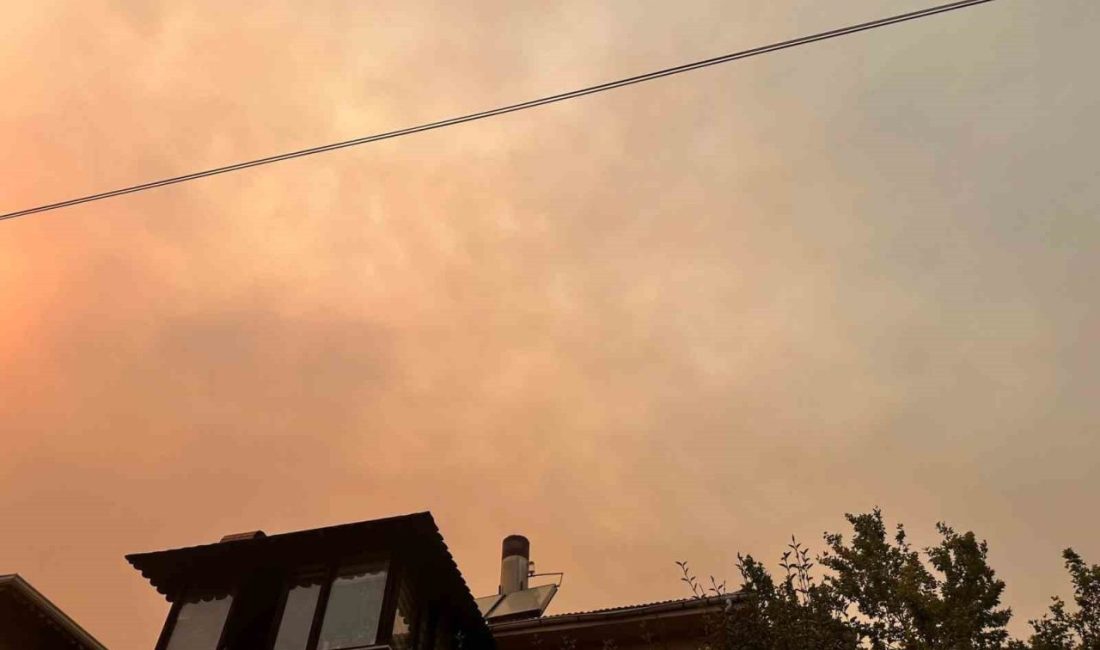 Bilecik’e kül yağıyor Bilecik’in Osmaneli ilçesinde bağlayan ve Bayıköy beldesine yaklaşan orman yangını