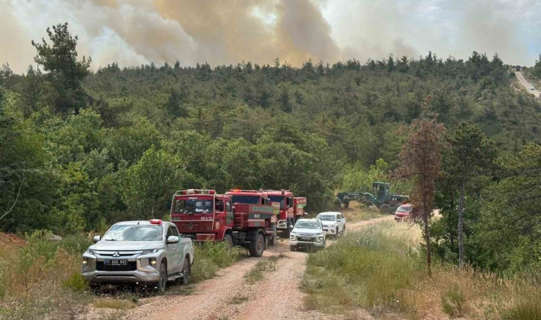 Bilecik’te dün başlayan ve rüzgarın etkisiyle hızla yayılması sonucu Kuyubaşı