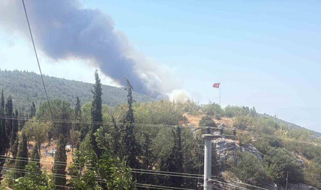 Bilecik’te alevler tavuk çiftliklerine dayandı Bilecik’te 5 gün önce başlayan orman yangını bugün yerini dumanlara