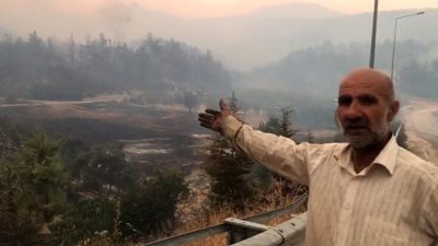 Bilecik’te alevler yeniden yükselirken, zeytinliği yanan köylü, “Bahçe evim vardı,
