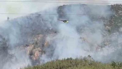 Bilecik’in Gölpazarı ilçesi yakınlarında başlayan ve kontrol altına alınan orman
