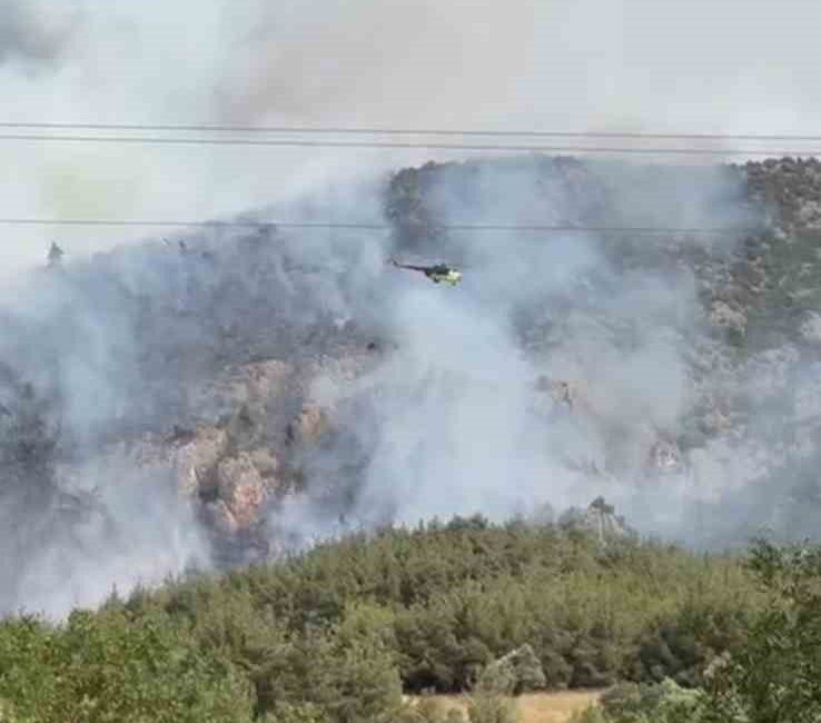 Bilecik’te bir başka orman yangını daha çıktı Bilecik’in Gölpazarı ilçesi yakınlarında başlayan ve kontrol altına alınan orman