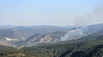 Bilecik merkeze bağlı Bekdemir köyünde çıkan orman yangını, ekiplerin söndürme