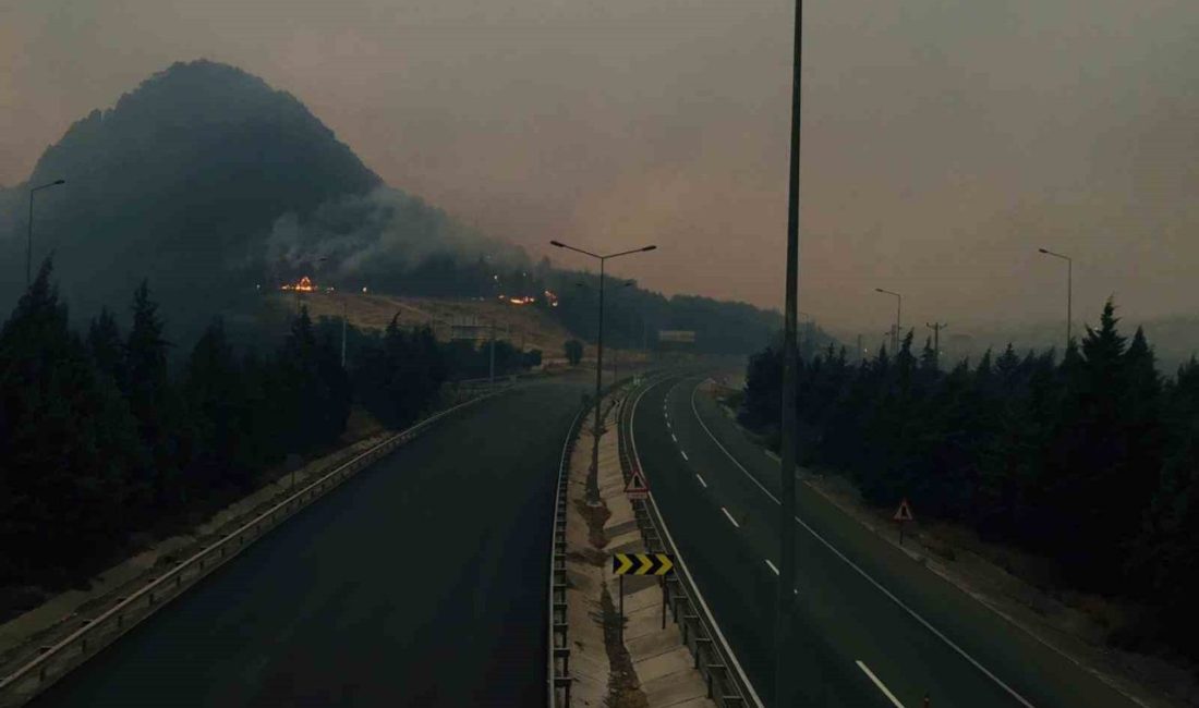 Bilecik’te D-650 karayolu çift taraflı ulaşıma kapandı Bilecik’te orman yangını etkisini iyice arttırırken D-650 karayolu çift taraflı
