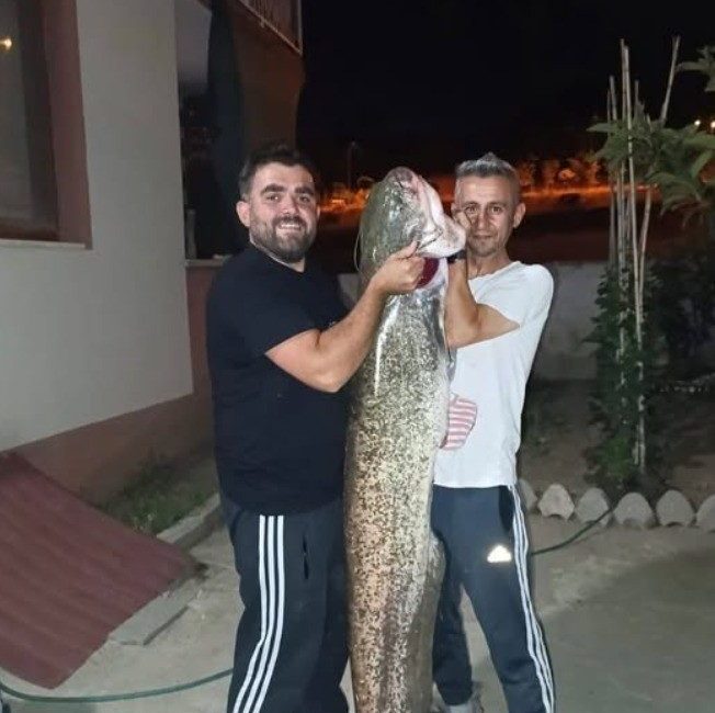 Bilecik’te, amatör balıkçıların oltasına yaklaşık 30 kilogram ağırlığında ve 1