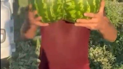 Bilecik’te hasat edilen ikiz kavun ve karpuz görenleri hayrete düşürdü.