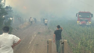 Bilecik’te öğleden sonra başlayan orman yangını rüzgarın etkisiyle hızla yayılırken,