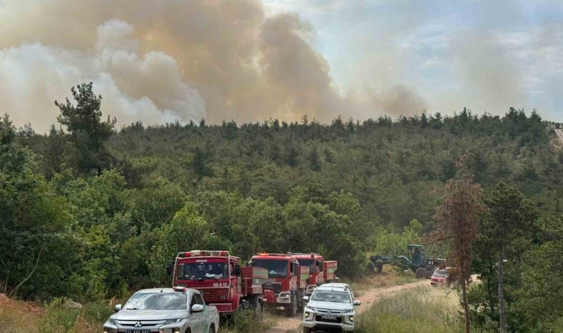 Bilecik’in Vezirhan beldesine bağlı Zobran köyünde bir orman yangını daha