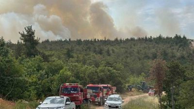 Bilecik’in Vezirhan beldesine bağlı Zobran köyünde bir orman yangını daha