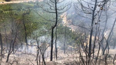 Bilecik’ in Osmaneli ile Bursa İznik ilçesi sınırında çıkan yangın